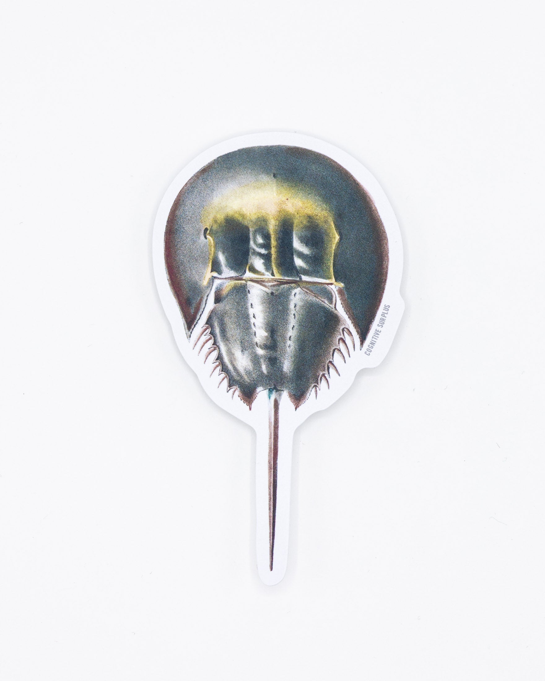 Horseshoe Crab Sticker