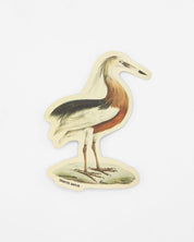 Javan Pond Heron Sticker