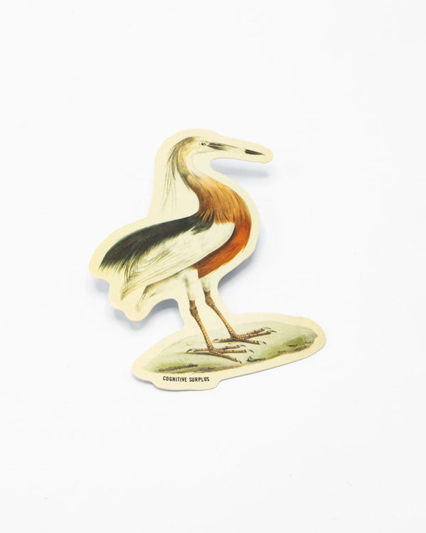 Javan Pond Heron Sticker