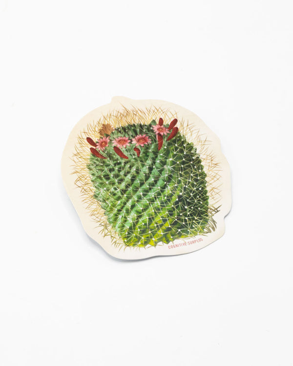 Mammillaria Cactus Sticker