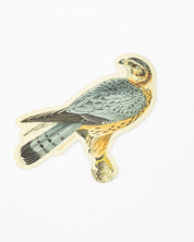 Merlin Falcon Sticker