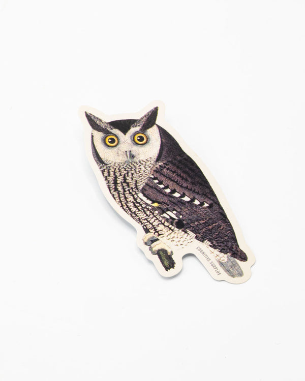Mottled Owl Sticker