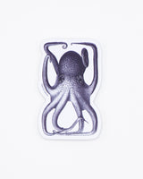 Octopus in a Box Sticker