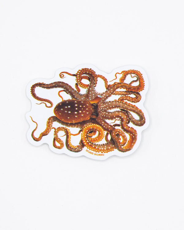 Atlantic White-Spotted Octopus Sticker