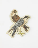 Peregrine Falcon Sticker