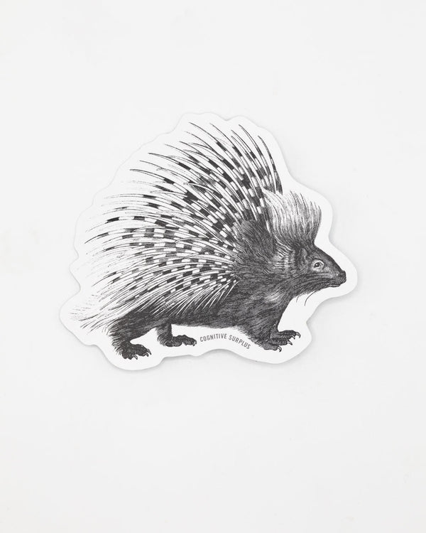 Porcupine Sticker