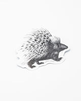 Porcupine Sticker