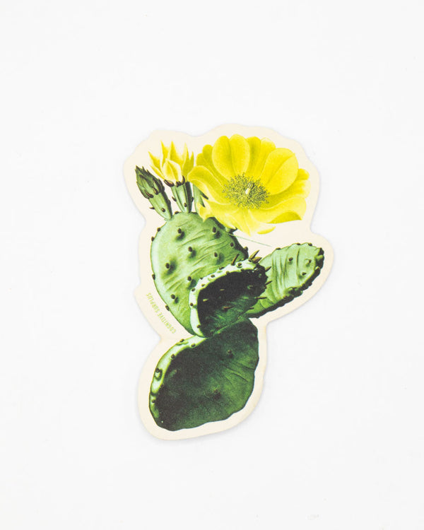 Prickly Pear Sticker