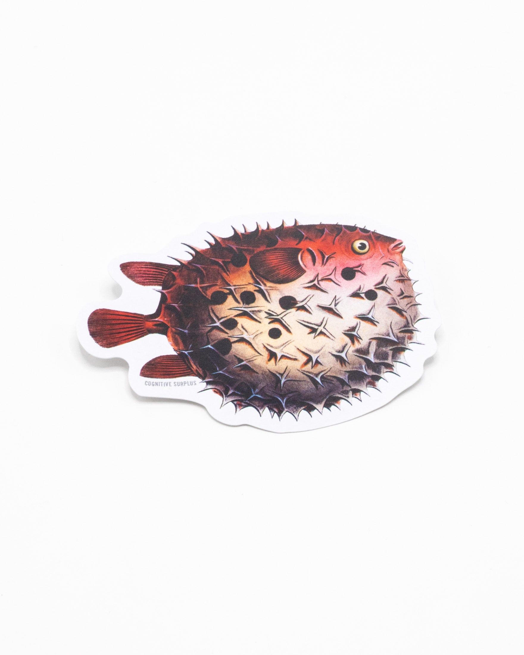 StPufferfish_0_2867c77a-8587-43e2-a87c-3a531e5a6bf9.jpg