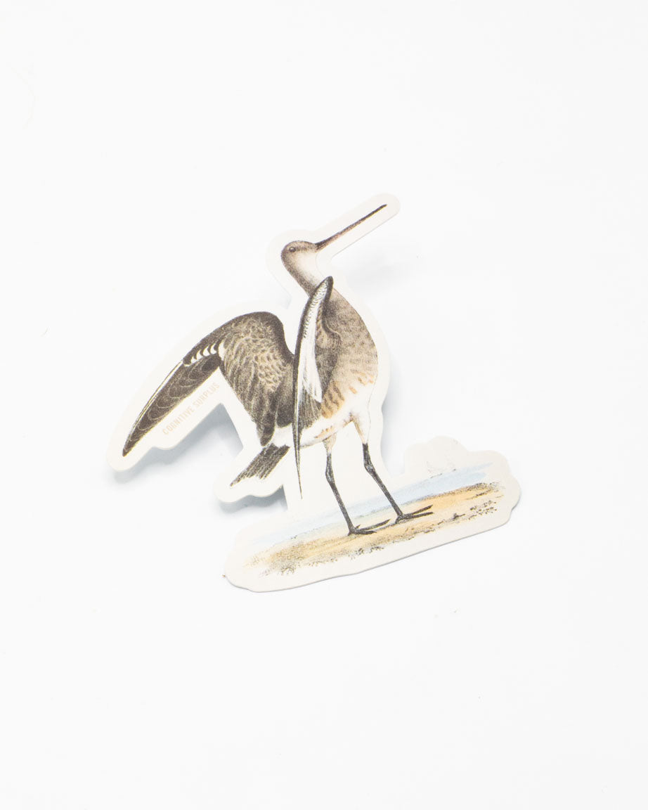 Marbled Godwit Sticker