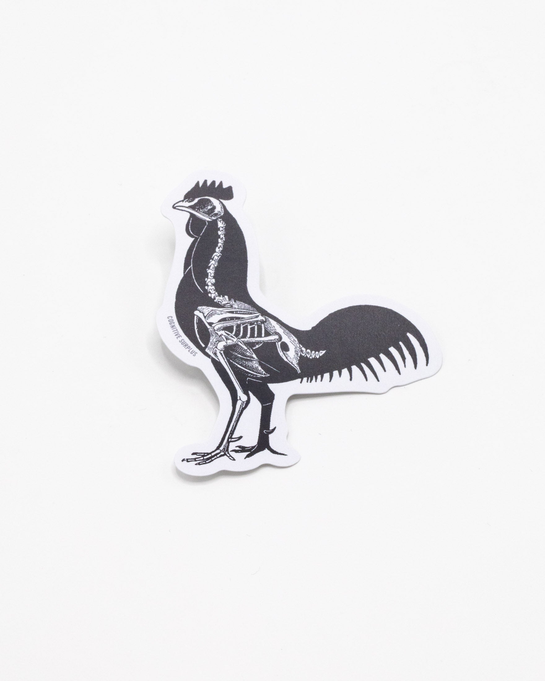 Rooster X-Ray Sticker