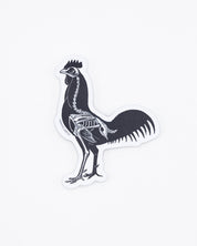 Rooster X-Ray Sticker