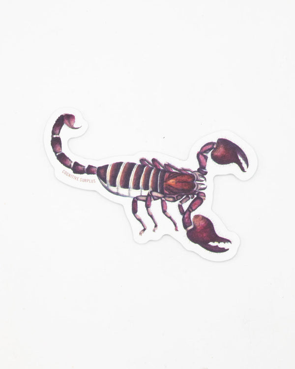 Scorpion Sticker