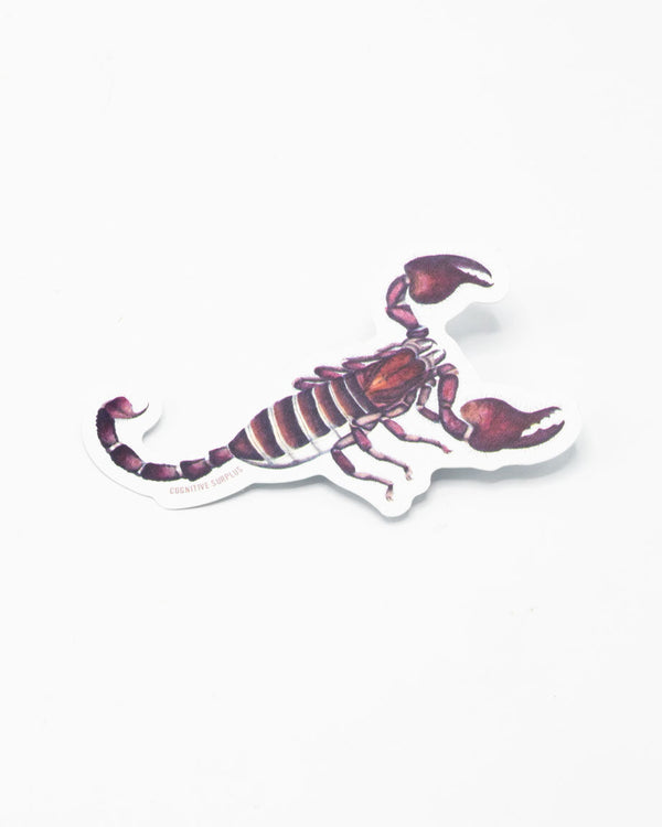 Scorpion Sticker