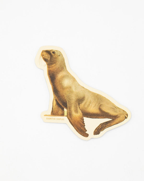 Sea Lion Sticker