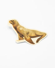 Sea Lion Sticker