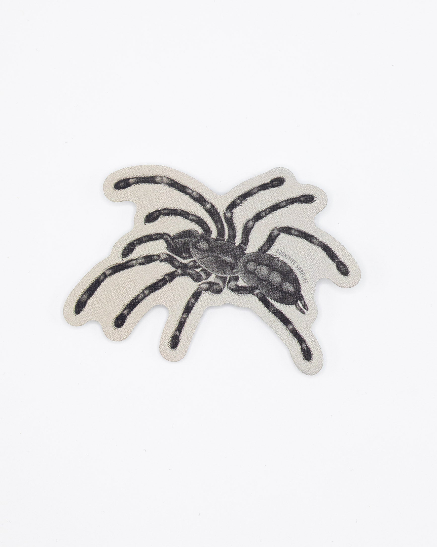 Tarantula Spider Sticker