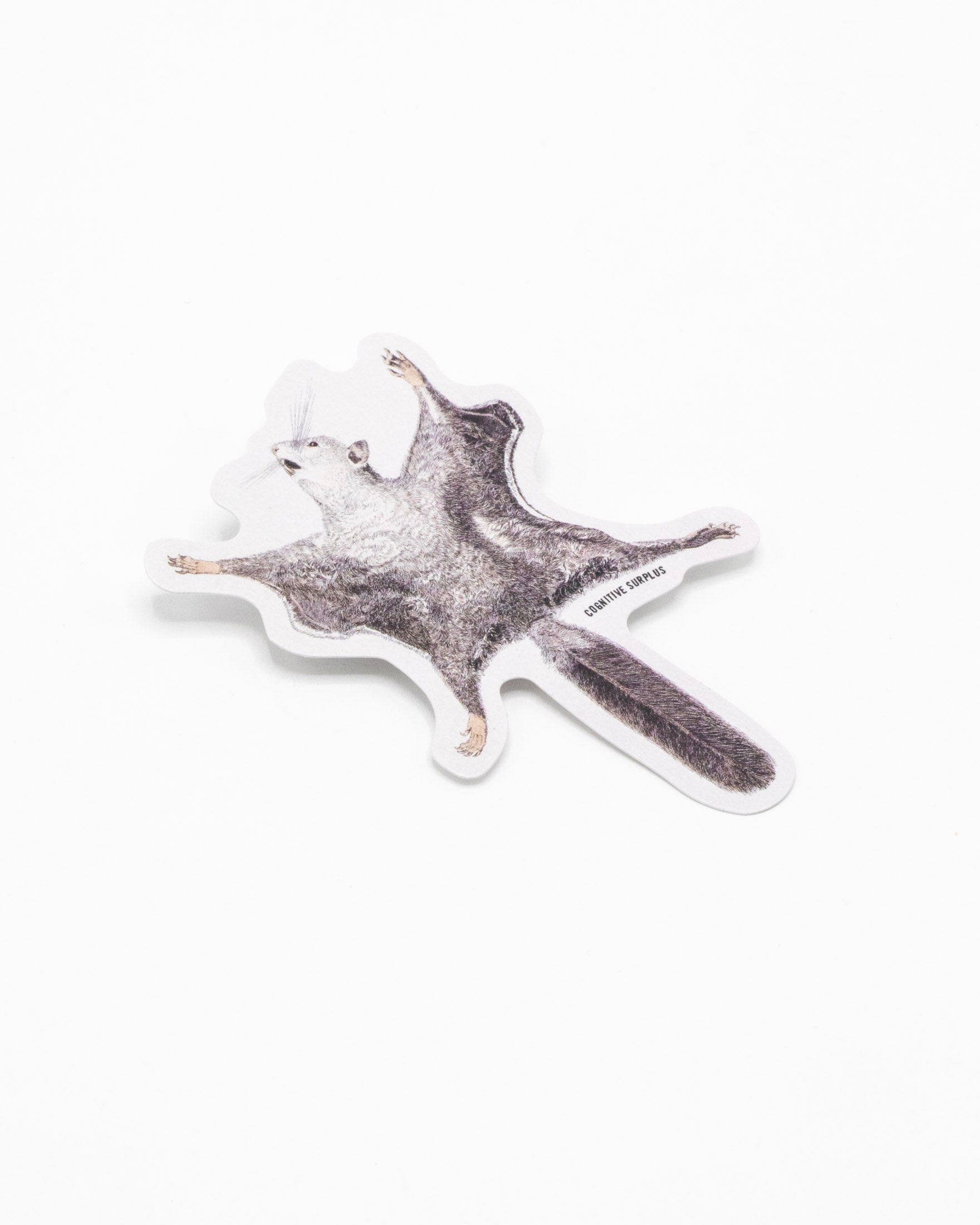 Flying Squirrel Sticker