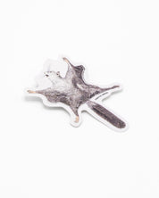 Flying Squirrel Sticker