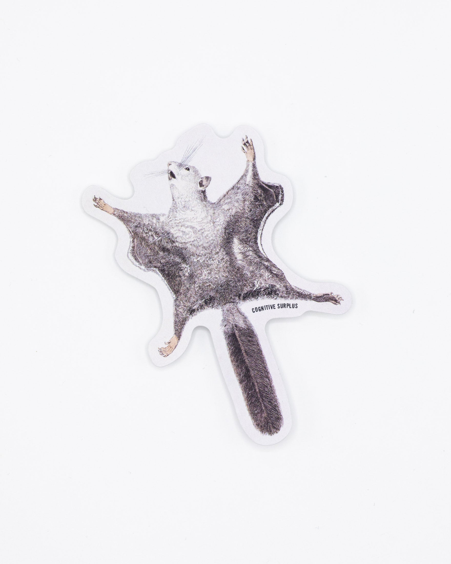 Flying Squirrel Sticker
