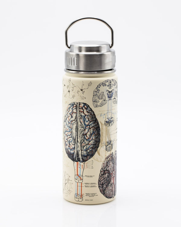 Brain & Neuroscience 18 oz Steel Bottle