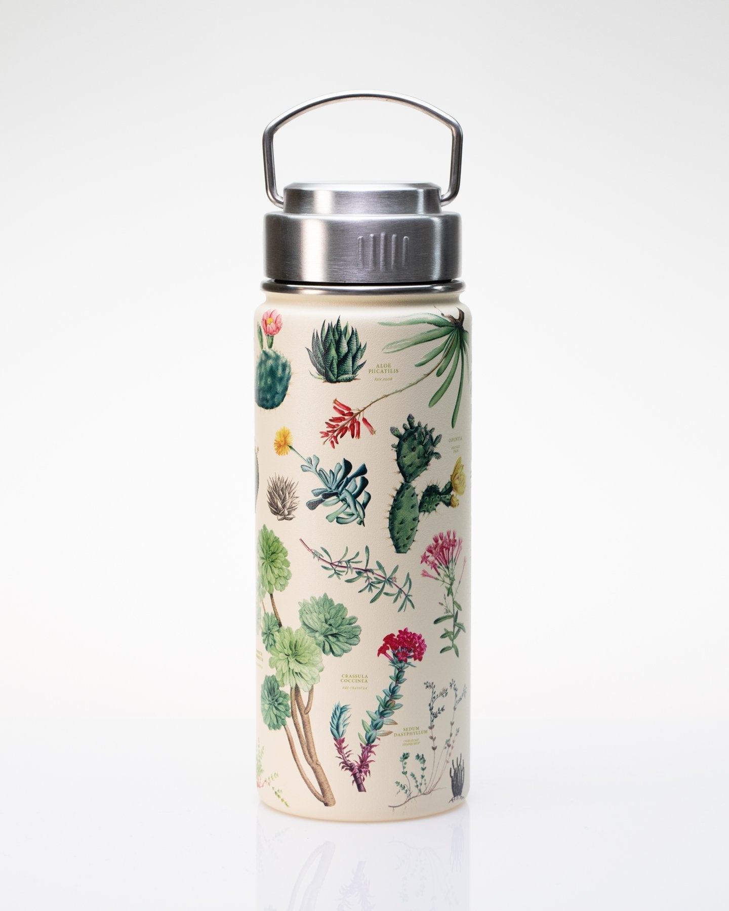 Succulents 18 oz Steel Bottle