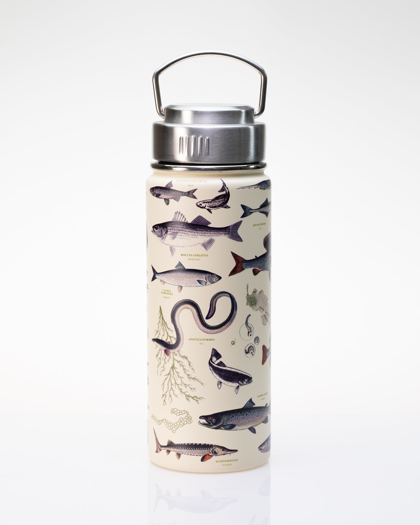 Freshwater Fish 18 oz Steel Bottle