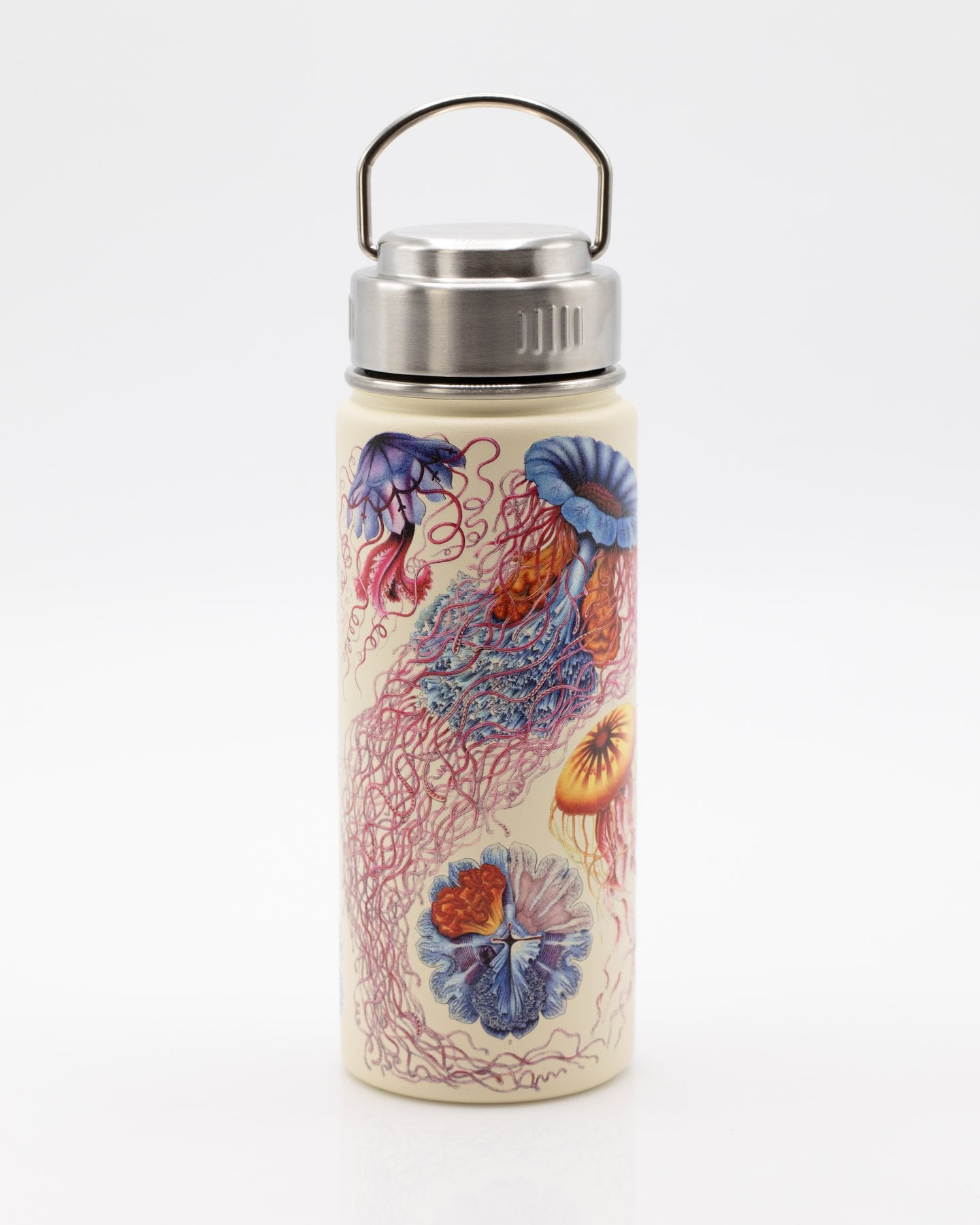 Haeckel Jellyfish 18 oz Steel Bottle