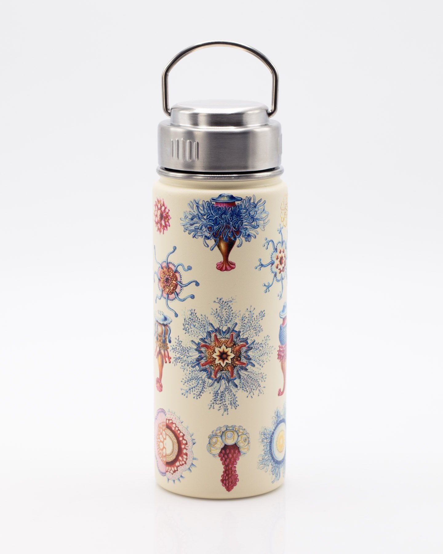 Haeckel Jellyfish 18 oz Steel Bottle