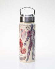 Human Anatomy 18 oz Steel Bottle