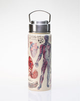 Human Anatomy 18 oz Steel Bottle