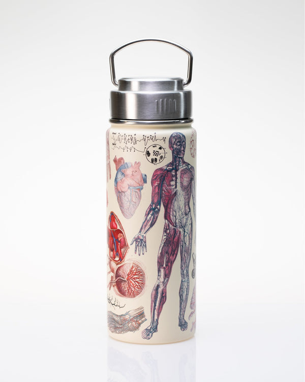 Human Anatomy 18 oz Steel Bottle