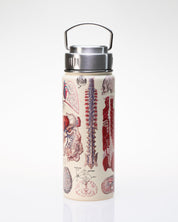 Human Anatomy 18 oz Steel Bottle