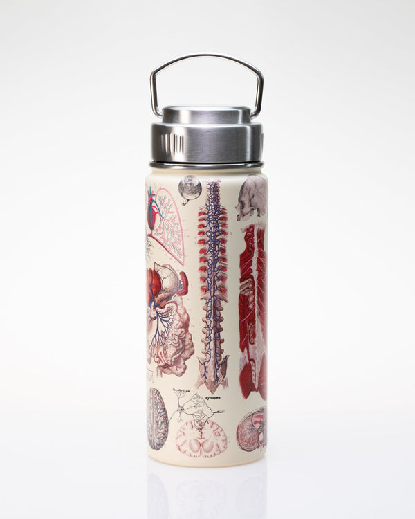 Human Anatomy 18 oz Steel Bottle