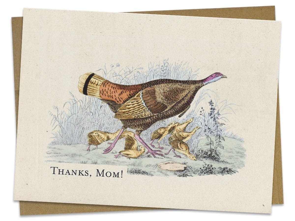 Thanks, Mom! Turkey Hen & Young Card