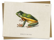 Tree Frog Specimen Card