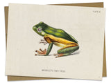 Tree Frog Specimen Card