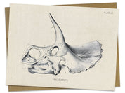 Triceratops Fossil Card