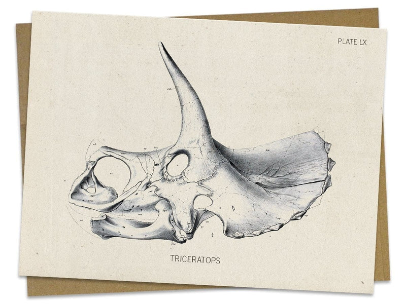 Triceratops Fossil Card