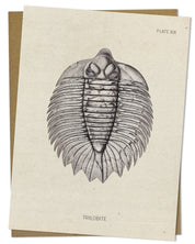 Trilobite Fossil Card