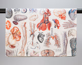 Human Anatomy Printed Tea Towel