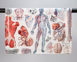 Human Anatomy Printed Tea Towel