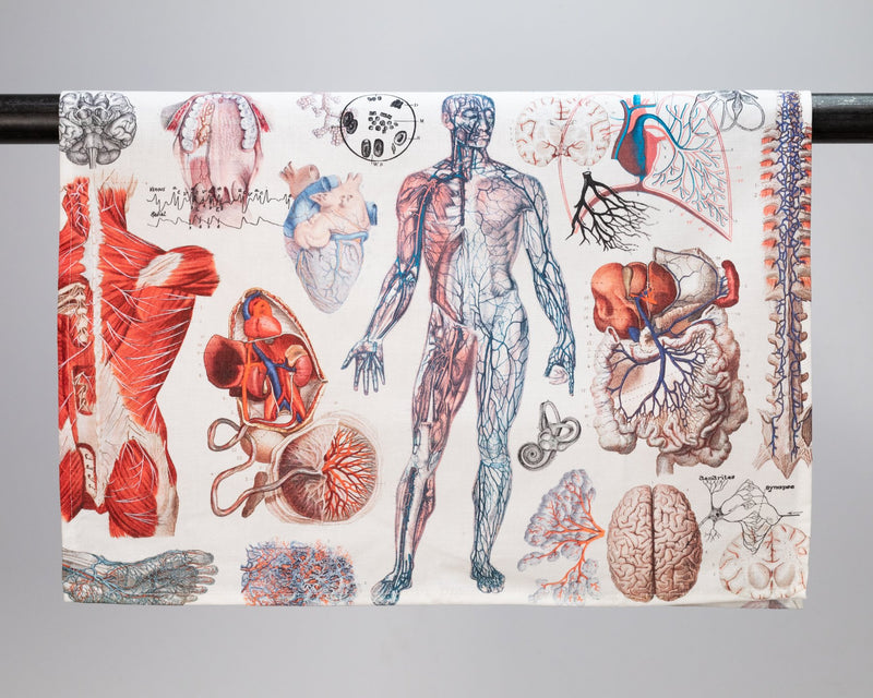 Human Anatomy Printed Tea Towel