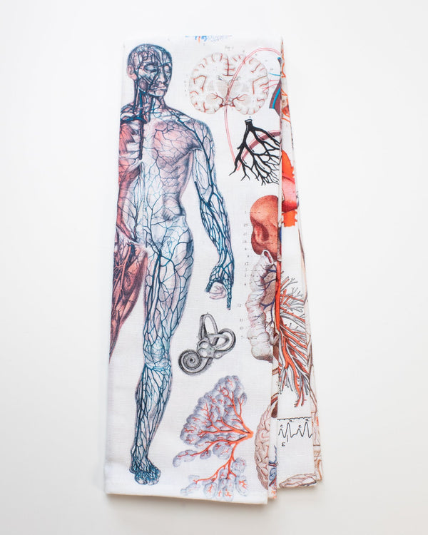 Human Anatomy Printed Tea Towel