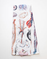 Human Anatomy Printed Tea Towel
