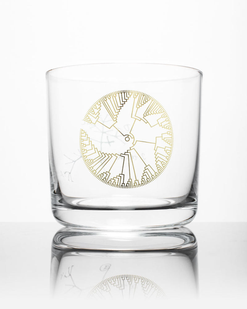 Tree of Life Whiskey Glass