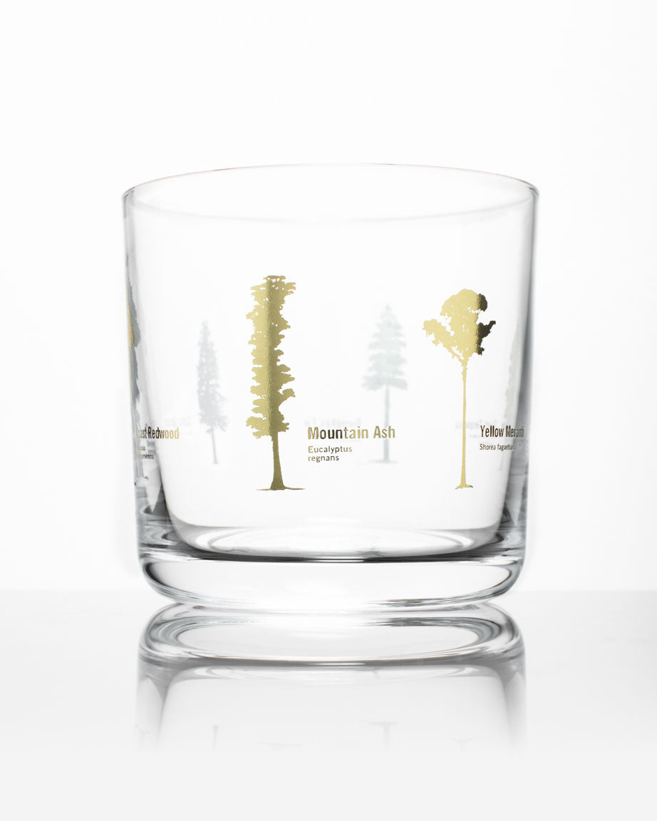 Forest Giants Whiskey Glass