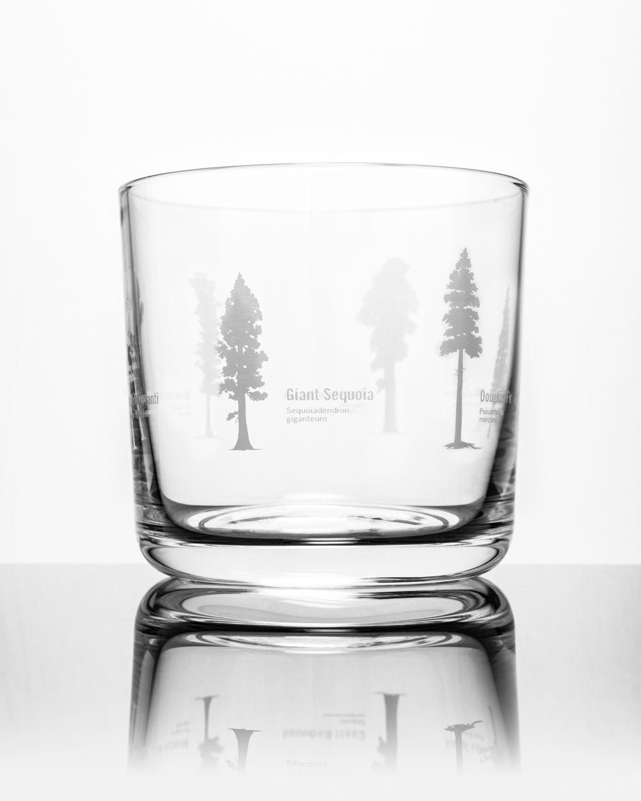 Forest Giants Whiskey Glass