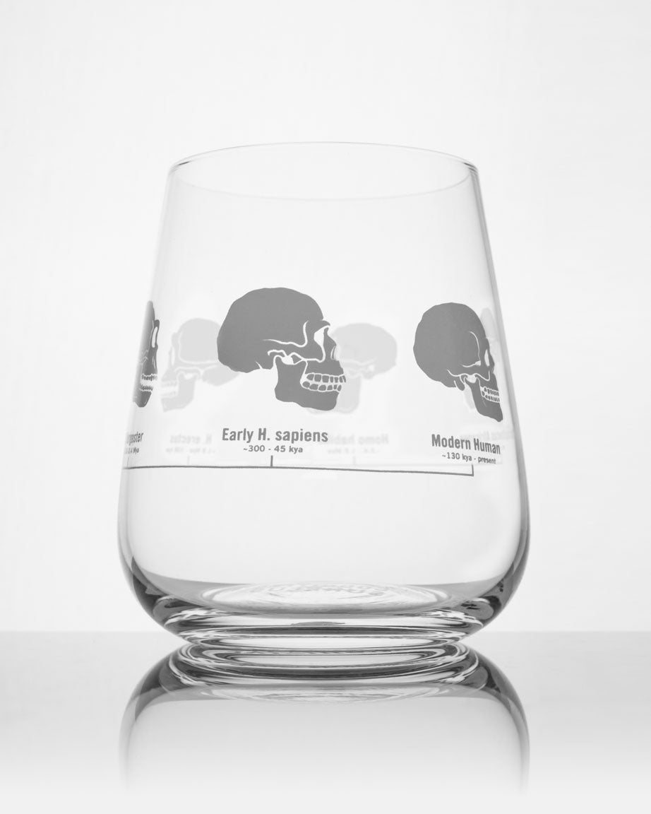 Hominid Skulls Wine Glass