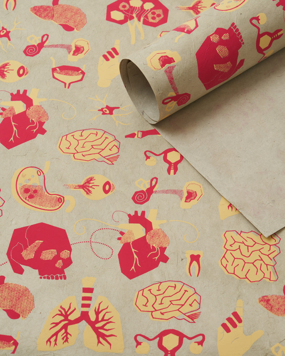 Retro Anatomy Wrapping Paper